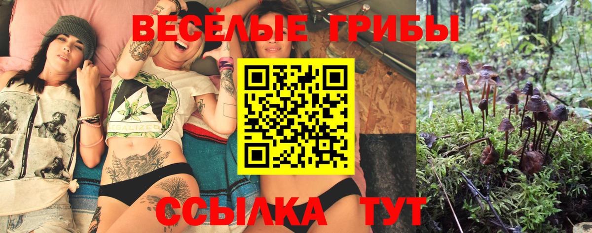Ростов-на-Дону  Псилоцибиновые грибы мицелий  Вход с VPN 