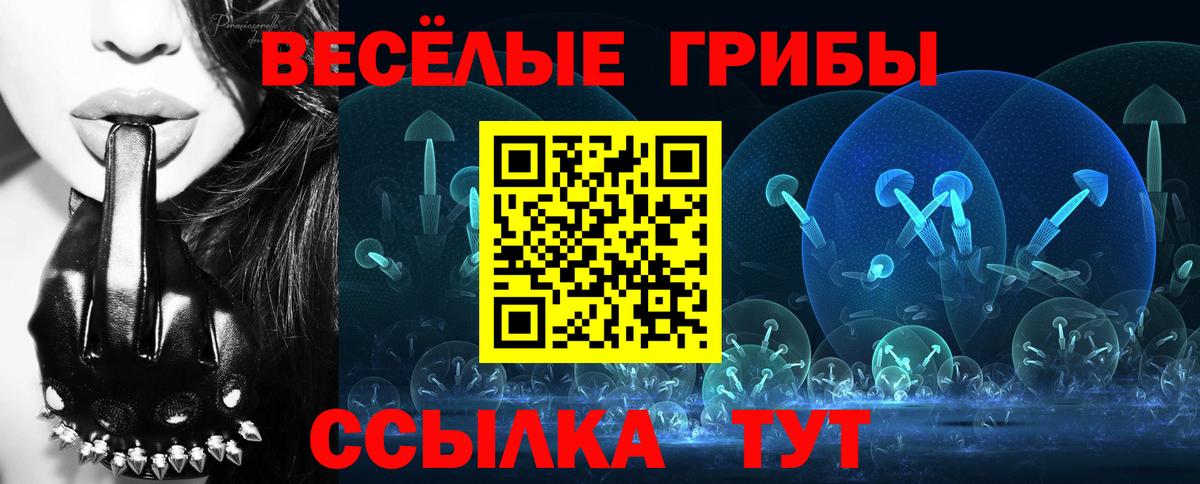 Псилоцибиновые грибы Psilocybine cubensis Ростов-на-Дону